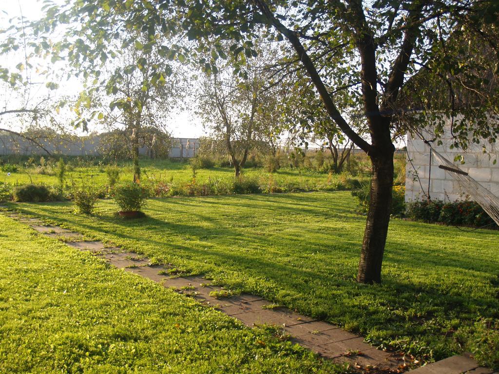 Medny Dvor Farm Stay Medna Buitenkant foto